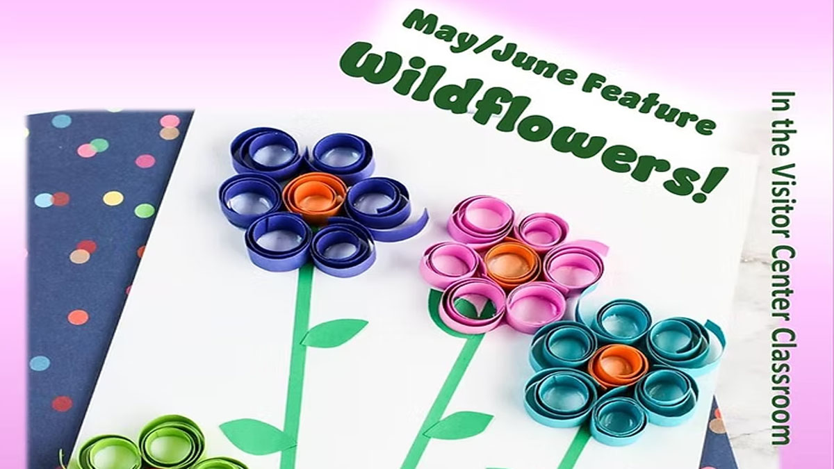 Drop-In Nature Crafts at Volo Bog 